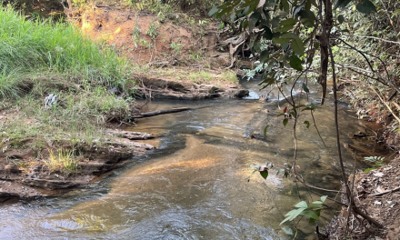 Redução do nível da água no Rio Cachoeirinha pode comprometer o abastecimento em Chapada dos Guimarães